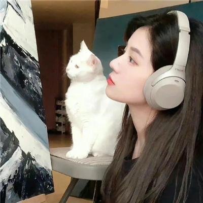 奇舞飞扬