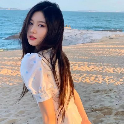 金装四大才子国语